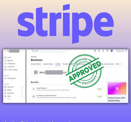 buy verified stripe accounts